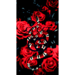 shamzay