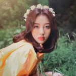 ୨♡୧