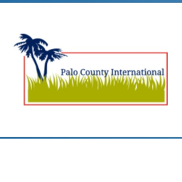 Palo County International Airport RP (BETA)