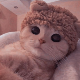 kittens :D