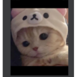 Kenzieworld11