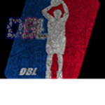 DBL Reborn{Dream Basketball League}