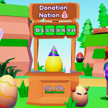 Donation Nation💸