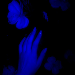 𝒔𝒕𝒊𝒍𝒍