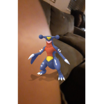 Garchomp raid