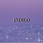 .Indigo.