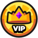 👑VIP👑