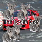The Koala Car