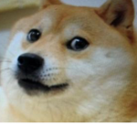 Doge Army123