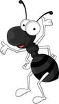BlackAntGroup