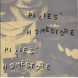 Pixies' Thrift Store