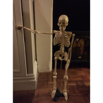Holy skeleton