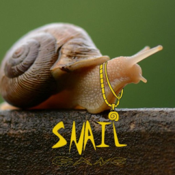 snail gang hangout