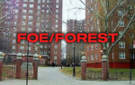 FOE/ForestOverEverything/Fblock/Forest