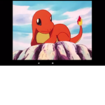 The Charazard Squad