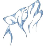 Team Wolf's
