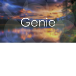 |~ The Genie Squad ~|