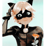 - ᴀᴅᴏʀᴇ ɴᴏɪʀ -