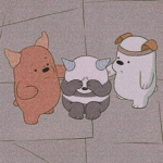 BEAR'S GROUP