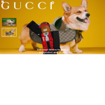 francisfat