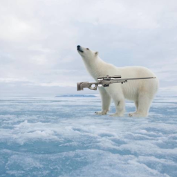 The polar sniping area [Update!]