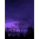 bl!ssful l!ghts