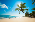 Beach?