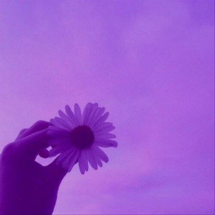 Flower Purple Aesthetic Roblox decal