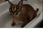 Case fantasy people