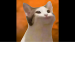 pop cat!!!!!!!!