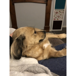 Chat here and compliment about stuff