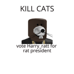 KILL CATS