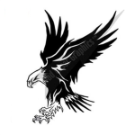 Black Eagel Stike Force