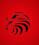 FalconEye Clan
