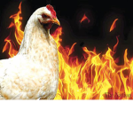 Roast Chicken Clan