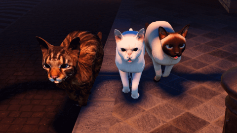 Official promotional art showing three cats on a brick floor.
