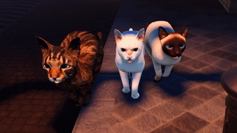 CATS ADDED!!