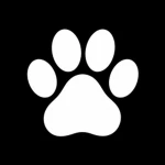 Pawlight Interactive Group Thumbnail