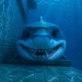 Climb Scary Shark Tower icon