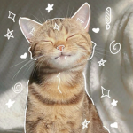 -kat creates-