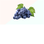 GRAPE FRUIT