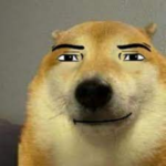 The United Doge Army Group