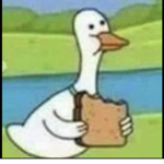 SlothPinatas Duck Children