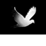 The Dove Army