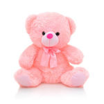 Teddy bear forever squad