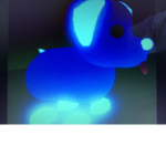 The neon pet group