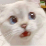 [♠]