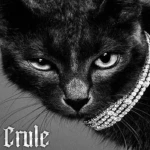 Crule Group Thumbnail