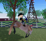 TOP DOLLAR RODEO