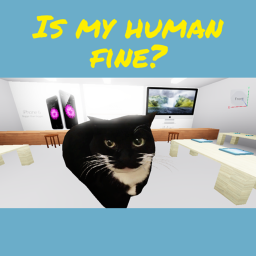 Is my human fine?